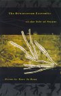 Discover More About 'The Downstream Extremity of the Isle of Swans'