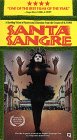 Discover More About 'Santa Sangre'